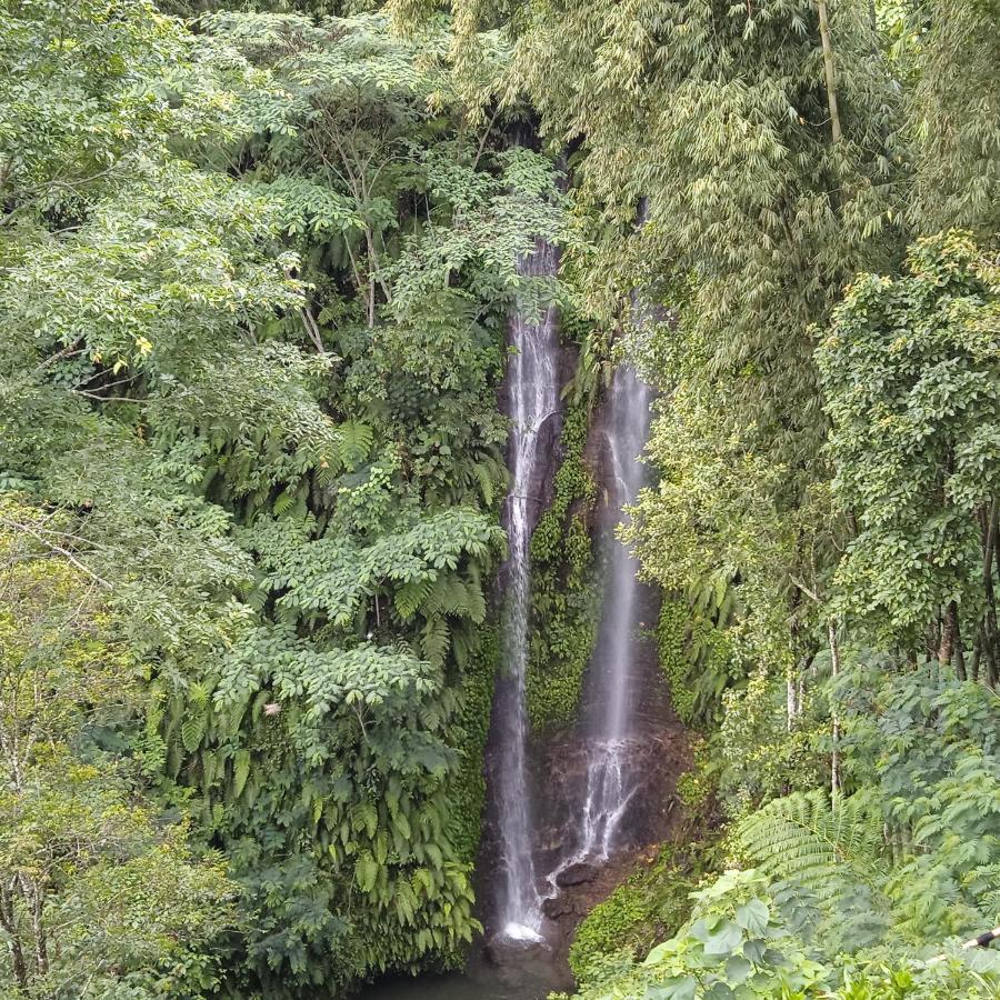 Munduk Tutub Waterfall View מראה חיצוני תמונה